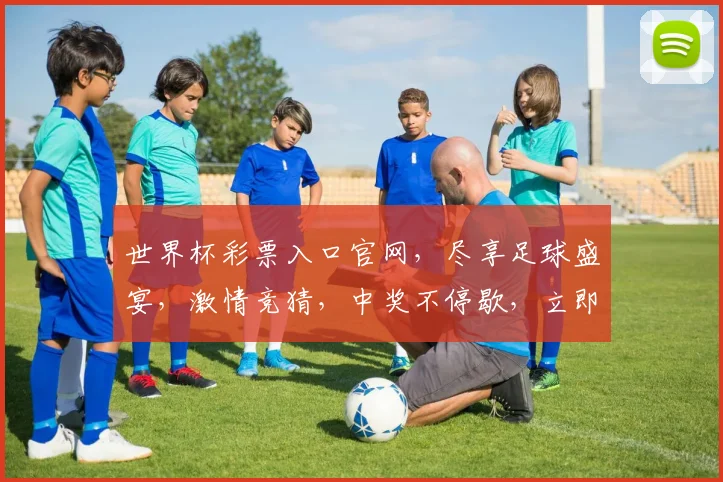 世界杯彩票入口官网，尽享足球盛宴，激情竞猜，中奖不停歇，立即体验