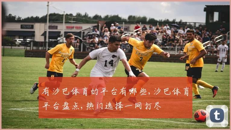 有沙巴体育的平台有哪些,沙巴体育平台盘点,热门选择一网打尽